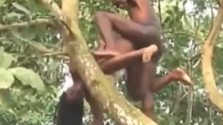 They won't see us here