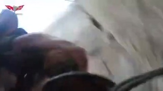 Israeli Doggy