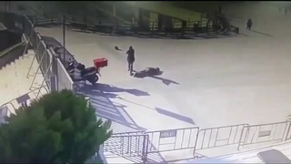 Terrorists Shot Dead