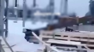 A Crane Boom Collapsed On A Worker