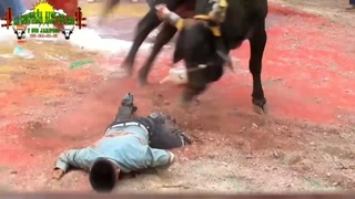 the bull mexico avenger