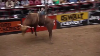 ANIMALS FUCKING HATE US: Rodeo