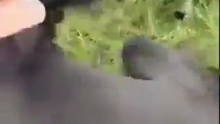 we must feed our little animals well,Good doggo