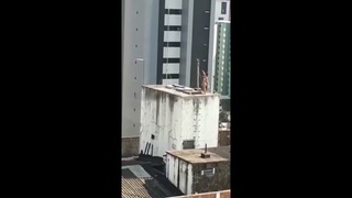 i believe i can fly