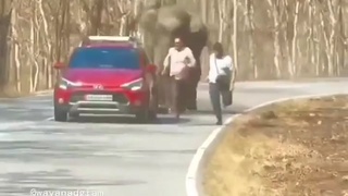 Run Deepak, Run!