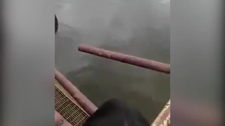 Shaman vs Crocodile