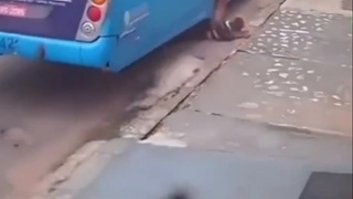 Disabled man falls under bus