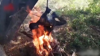 bbq