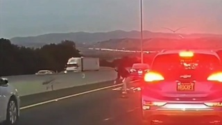 Who's at fault?