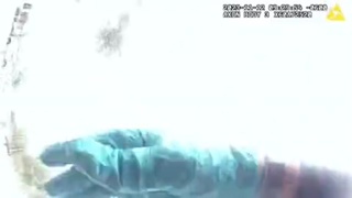 The Acorn Video