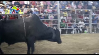 the beasts of nicaragua