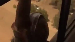 Maid hanging on for dear life whilst woman just records.