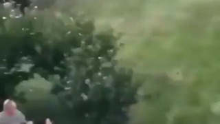 FUCK THE PIGS