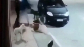 Robber accidentally targets a friend