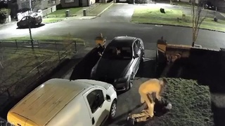 Good night cunts