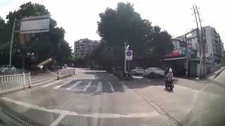 lady meets the dash cam