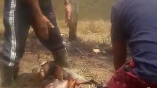 victim of car fire accident