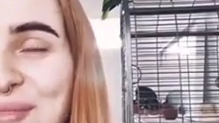 parrot picks it up quick