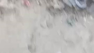 MASSACRE IN THE STREETS OF HAITI
