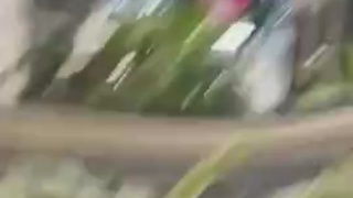 THIEVES SMASHING GLASS DISPLAYS AND STEALING FISTS FULL OF ITEMS AT A MALL JEWELRY STORE IN ILLINOIS