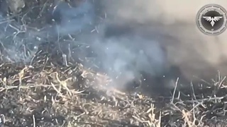 orc assault cleaned by C4 bees