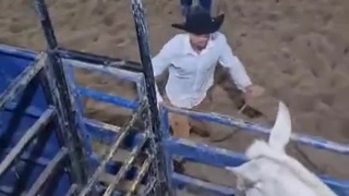 Donkey Got Move