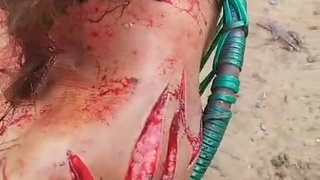 Son tries to kill his mother in the interior of Par&aacute; without further information