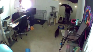 ANIMALS FUCKING HATE US