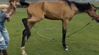 Hoof in the muff