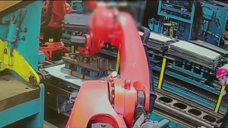 Robot Crushes Worker's Head