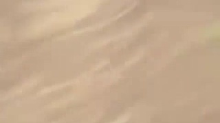 Africans electrocuted