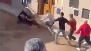 Bull was horny