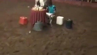 Not your typical bull video...