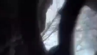 Direct Hit