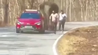 Ele&hellip;..