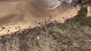 Parachute fails