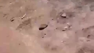 Woman in agony after surviving helicopter crash.