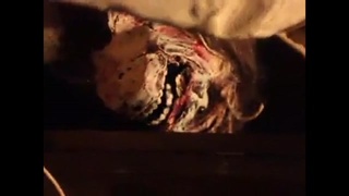 MY FAVORITE SEX DOLL