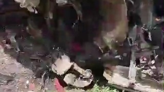 Off-Duty Police Officers Involved In A Fatal Accident