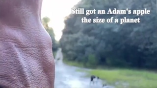 Tranny Regret Song