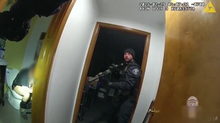 Bog standard arrest