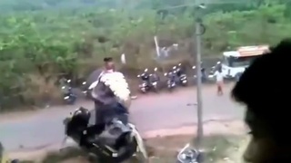 RAMPAGING ELEPHANT