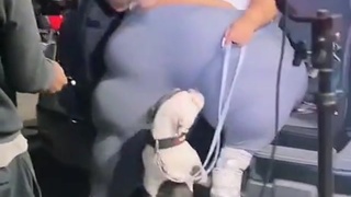 Poor Dog