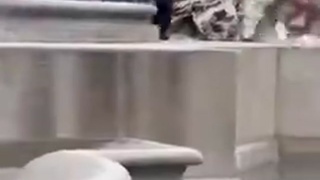 ITALIAN POLICE EXPLAIN TO NEW ARRIVAL THAT FOUNTAINS ARE NOT BATHTUBS OR TOILETS