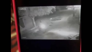 brutal execution in favelas