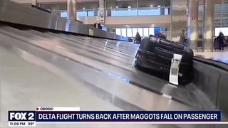 Thinking of flying?
