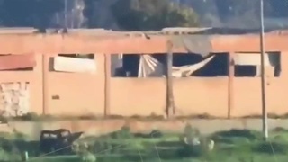 syrian civil war Hay'at Tahrir al-Sham (HTS) carried out an attack....