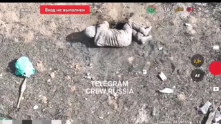 Beglenszkys poor Bastards #1
