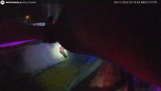 Police Unload on Serial Robber