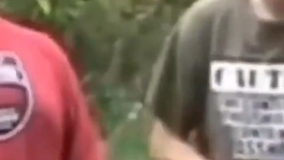 Funny compilation